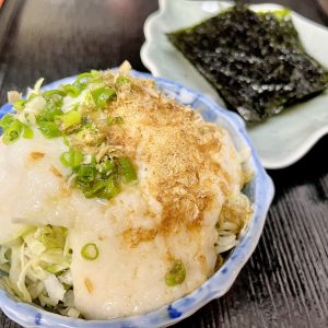 キャベトロ2022スクエア