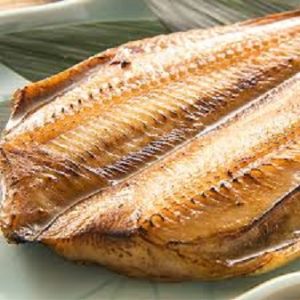 大ホッケ
